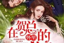 在贺总的怀里放肆小说，在贺总的怀里放肆免费阅读-读书翁