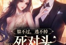 躲不过,逃不掉,死对头顶级诱宠林曜谢星忱,躲不过,逃不掉,死对头顶级诱宠最新章节-读书翁