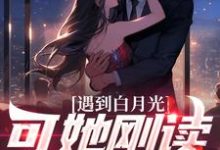 遇到白月光,可她刚读幼儿园沐枫,遇到白月光,可她刚读幼儿园章节在线阅读-读书翁