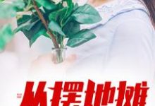 从摆地摊开始崛起小说的免费电子版在哪里可以下载或阅读？-读书翁