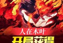 求推荐可以免费阅读人在木叶,开局获得万花筒写轮眼小说的网站-读书翁