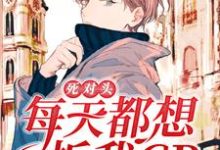 免费在线阅读死对头每天都想拆我CP小说的正规网站有哪些？-读书翁