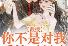 小说《教授,你不是对我爱答不理嘛》在线章节阅读-读书翁