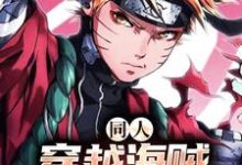 同人:穿越海贼,鸣人杀疯了这本小说怎么样?免费在线阅读试试-读书翁