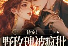 男女主人公时汐秦晔小说恃宠!野玫瑰被疯批大佬狂宠入骨章节免费阅读-读书翁