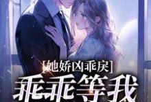 《小青梅,乖乖等我来教你》全集免费在线阅读(陆昭昭江辞允)-读书翁