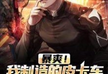 暴爽!我制造的皮卡车能抗火箭弹陆枫,暴爽!我制造的皮卡车能抗火箭弹小说免费阅读-读书翁