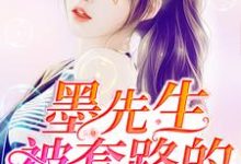 韩若琳墨冷轩墨建刘月娥为主角的小说好看吗?免费读墨先生被套路的365天-读书翁