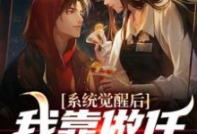 完结版《系统觉醒后，我靠做任务换奖励》免费阅读-读书翁