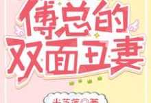 三宝联盟:傅总的双面丑妻小说的免费电子版在哪里可以下载或阅读?-读书翁