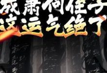 开局成萧何侄子,这运气绝了主角萧郗小说完结版章节在线阅读-读书翁