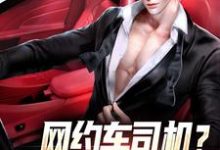 网约车司机?我可是马路判官小说完结版章节免费阅读-读书翁