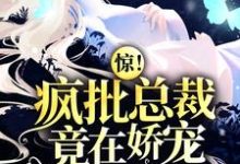 惊！疯批总裁竟在娇宠入狱罪妻小说，惊！疯批总裁竟在娇宠入狱罪妻在线阅读-读书翁