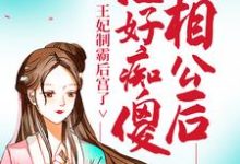 治好痴傻相公后，王妃制霸后宫了小说的无弹窗阅读体验，寻找免费阅读网站-读书翁