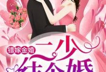 杨柒贺逸宁冯曼伦的小说在哪里看？免费在线阅读错嫁金婚：二少，结个婚？-读书翁