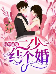 杨柒贺逸宁冯曼伦的小说在哪里看？免费在线阅读错嫁金婚：二少，结个婚？