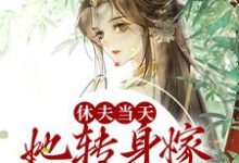 主角叫苏蓝沁墨林渊小说休夫当天,她转身嫁给摄政王章节免费阅读-读书翁