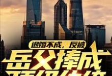 免费看退婚不成,反被岳父捧成顶级纨绔小说的网站有哪些?-读书翁