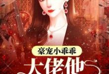 豪宠小乖乖，大佬他宠妻无价小说，豪宠小乖乖，大佬他宠妻无价墨心儿霍九爷-读书翁