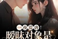 求一夜荒唐！暧昧对象是前夫他亲哥小说免费资源-读书翁