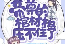 帝尊的棺材板压不住了小说，帝尊的棺材板压不住了免费阅读-读书翁