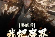 沈逸尘是哪本书的主角?卧底后,我把魔界圣女拿下了免费读-读书翁