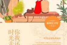 已完结小说《时光走远，你我还在》最新章节-读书翁