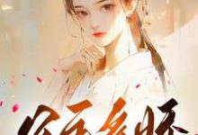 完结版《公主多娇，引得王爷折腰》章节阅读-读书翁