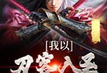 我以刀客入圣,镇压诸天!小说,我以刀客入圣,镇压诸天!李长风-读书翁