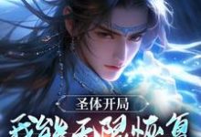 在线寻找李玄汐的小说,圣体开局,我能无限恢复自身能力免费阅读-读书翁