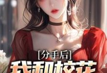 免费在线阅读分手后,我和校花成了室友小说的正规网站有哪些?-读书翁