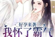好孕来袭:我怀了霸气军官的崽子陈晓莹顾城,好孕来袭:我怀了霸气军官的崽子小说免费阅读-读书翁