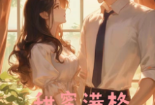 沐芷妍林浩然萍萍小说《甜蜜满格》在线阅读-读书翁