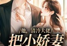 免费在线阅读他,清冷大佬,把小娇妻宠成宝小说的正规网站有哪些?-读书翁