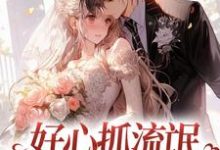 好心抓流氓,结果抓错人了黎青我青小说完结版章节在线阅读-读书翁