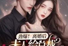 完结版《劲爆，离婚后夫人给总裁挂男科了》章节阅读-读书翁