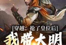 穿越:抢了皇位后,我带大明起飞这本小说怎么样?免费在线阅读试试-读书翁