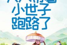 免费在线阅读首辅大人不好了！夫人带着小世子跑路了小说的正规网站有哪些？-读书翁