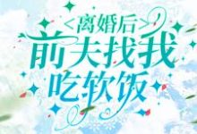 《离婚后,前夫找我吃软饭》小说贺繁鱼傅云珩章节章节免费在线阅读-读书翁