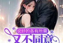 说好的各有所需，又不同意离婚了？免费阅读，说好的各有所需，又不同意离婚了？章节目录-读书翁