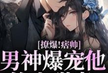 免费看撩爆!痞帅男神爆宠他的小甜妻小说的网站有哪些?-读书翁