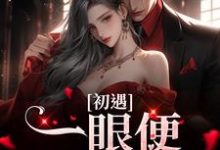 《初遇：一眼便定下终生》全集免费在线阅读（沐芷妍林浩然）-读书翁