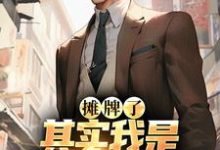 柳上惠小说摊牌了,其实我是世界最强厨师在线阅读章节-读书翁