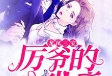 《龙凤三宝：厉爷的心尖妻》小说章节在线试读，《龙凤三宝：厉爷的心尖妻》最新章节目录-读书翁