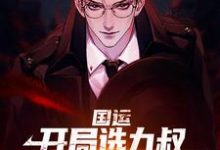 在线寻找国运：开局选九叔，以一敌百成擂主小说的无删减版本-读书翁
