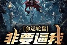 命运轮盘：非要逼我人前显圣小说，命运轮盘：非要逼我人前显圣免费阅读-读书翁