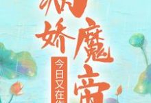 病娇魔帝今日又在作了小说完结版章节免费阅读-读书翁