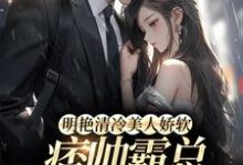 明艳清冷美人娇软，痞帅霸总他超爱许莓柯聿淮小说免费阅读-读书翁