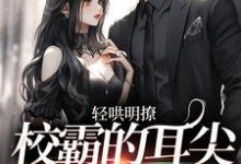 完结版《轻哄明撩：校霸的耳尖微微泛红》章节阅读-读书翁