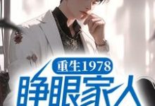 重生1978,睁眼家人都在身边李斌,重生1978,睁眼家人都在身边最新章节-读书翁